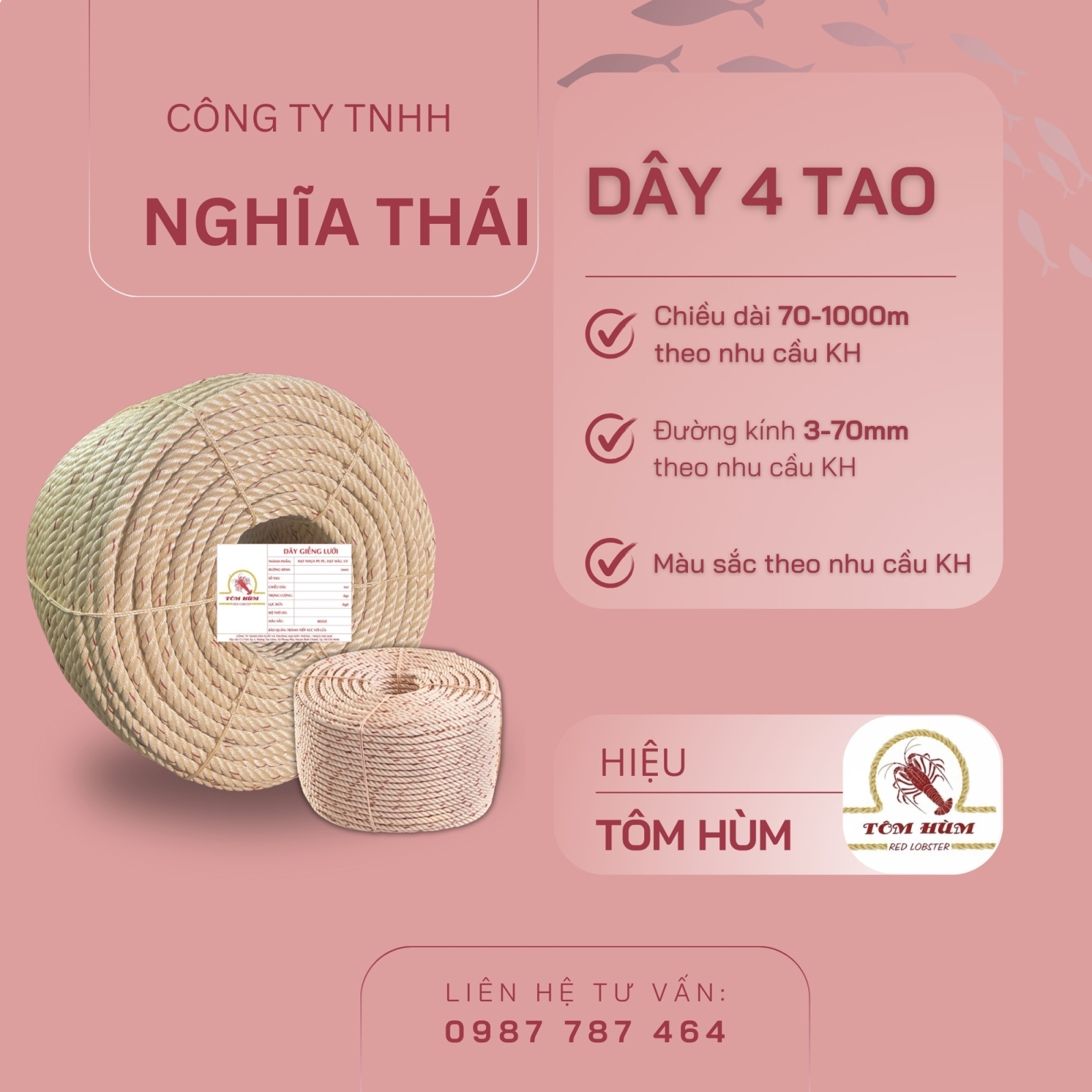 TÔM HÙM 4 TAO