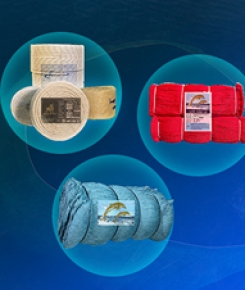 Hệ sinh thái đa dạng