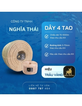  TRÂU VÀNG 4 TAO 