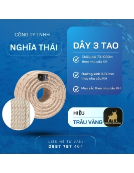  TRÂU VÀNG 3 TAO 