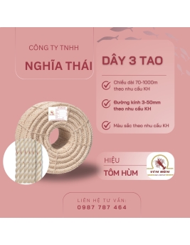 TÔM HÙM 3 TAO