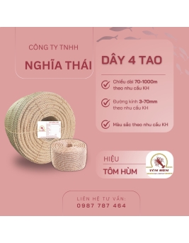 TÔM HÙM 4 TAO 