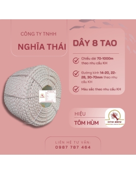 TÔM HÙM 8 TAO 