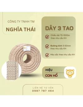 CON HỔ 3 TAO 