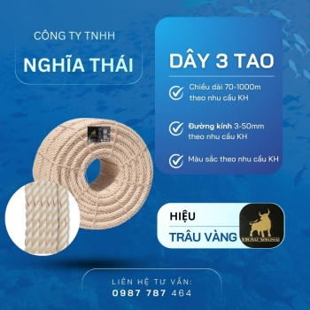  TRÂU VÀNG 3 TAO 