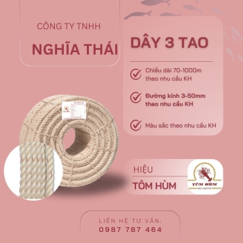 TÔM HÙM 3 TAO