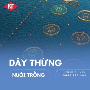 DÂY THỪNG NUÔI TRỒNG 